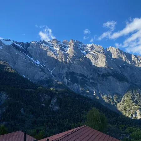 シャレー Alpilles - Familial, Recent, Equipe Chamoson